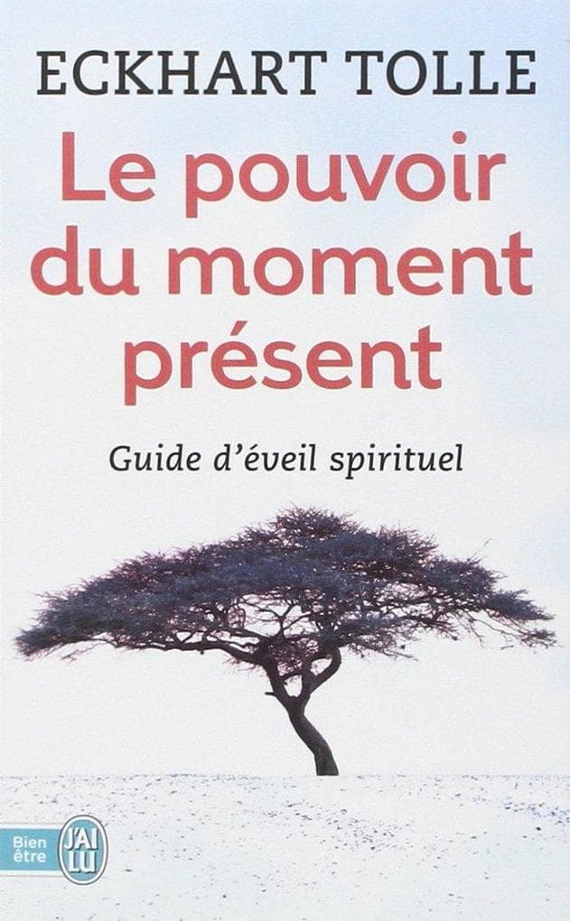 Le pouvoir du moment présent