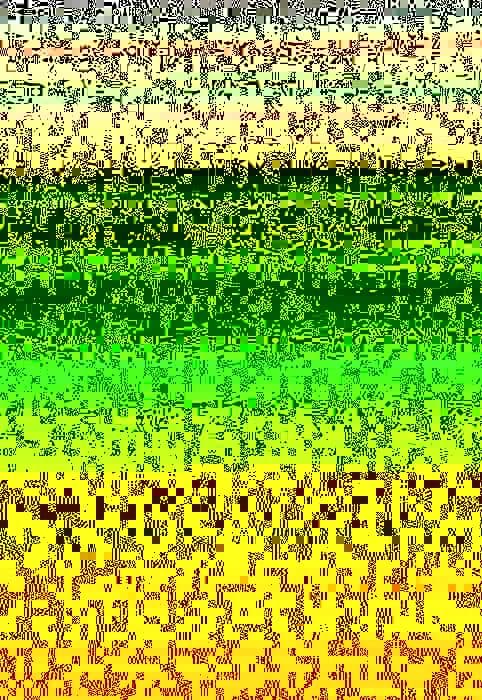 The Reconstruction of Nations