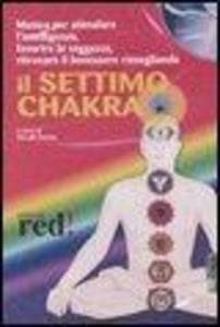 Il settimo chakra. Audiolibro. CD Audio