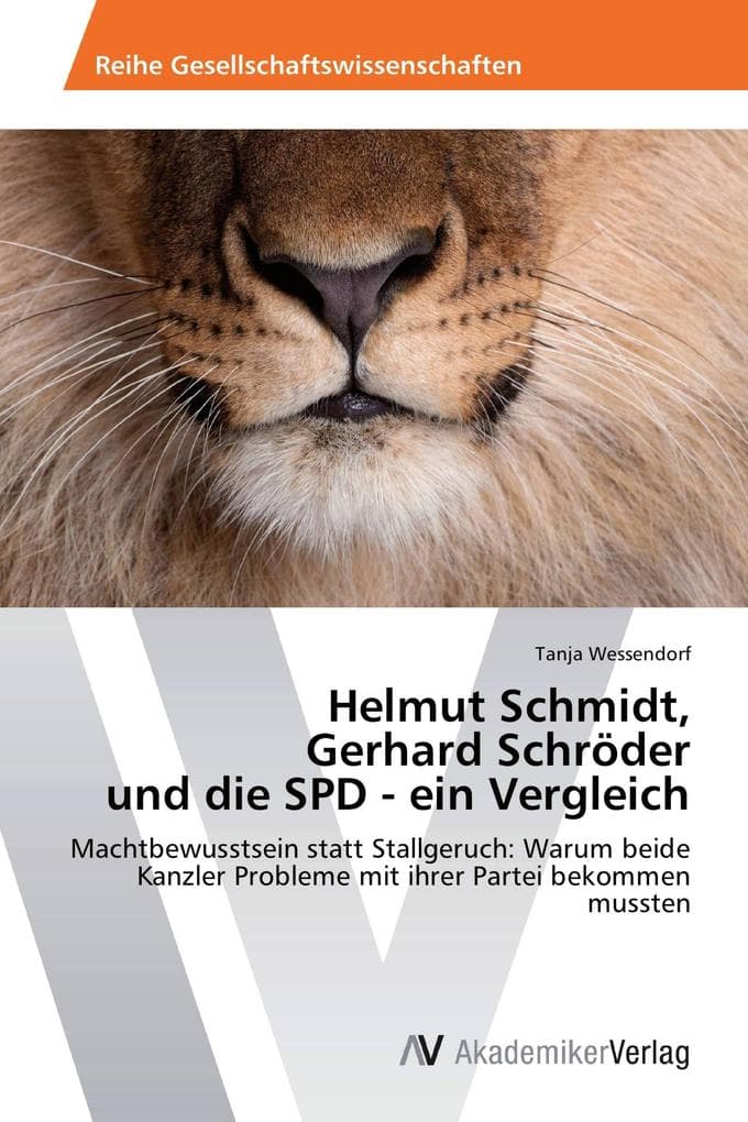 Helmut Schmidt, Gerhard Schröder und die SPD - ein Vergleich