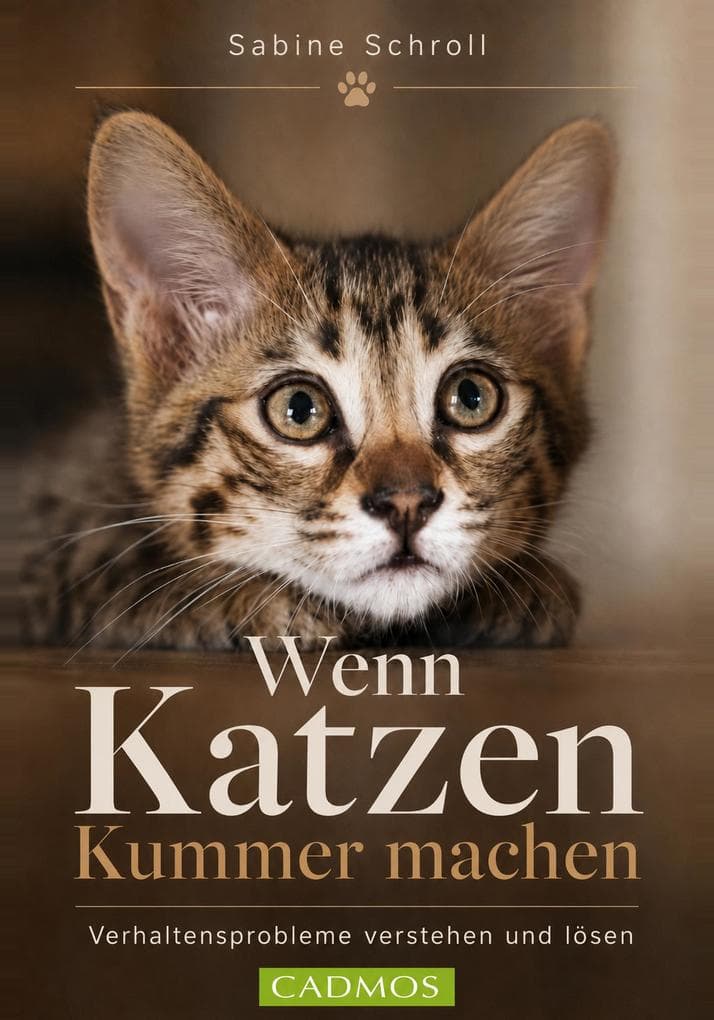 Wenn Katzen Kummer machen