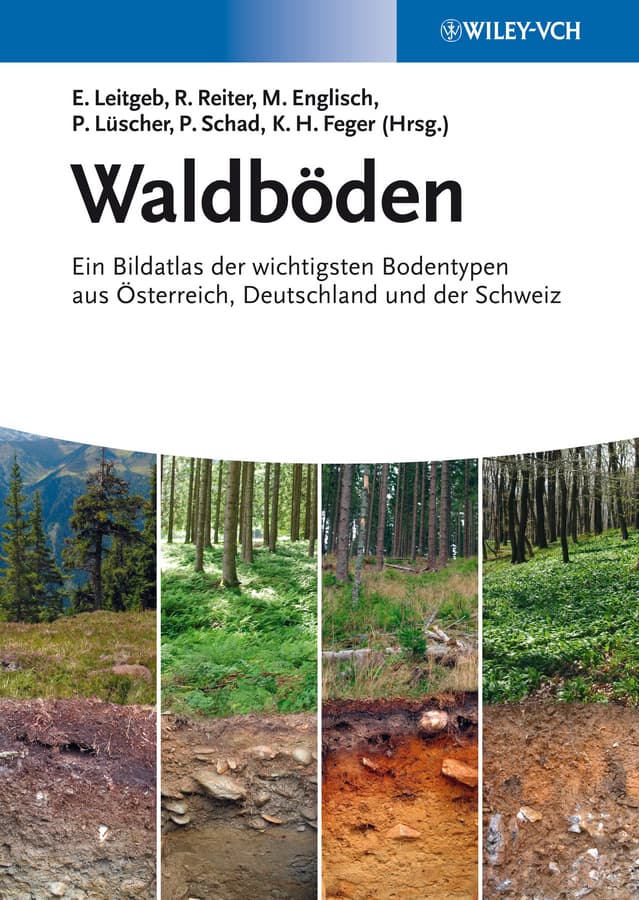 Waldböden