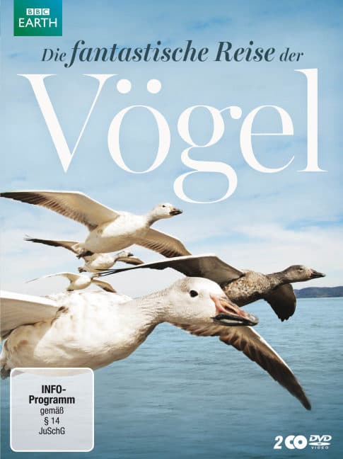 Die fantastische Reise der Vögel