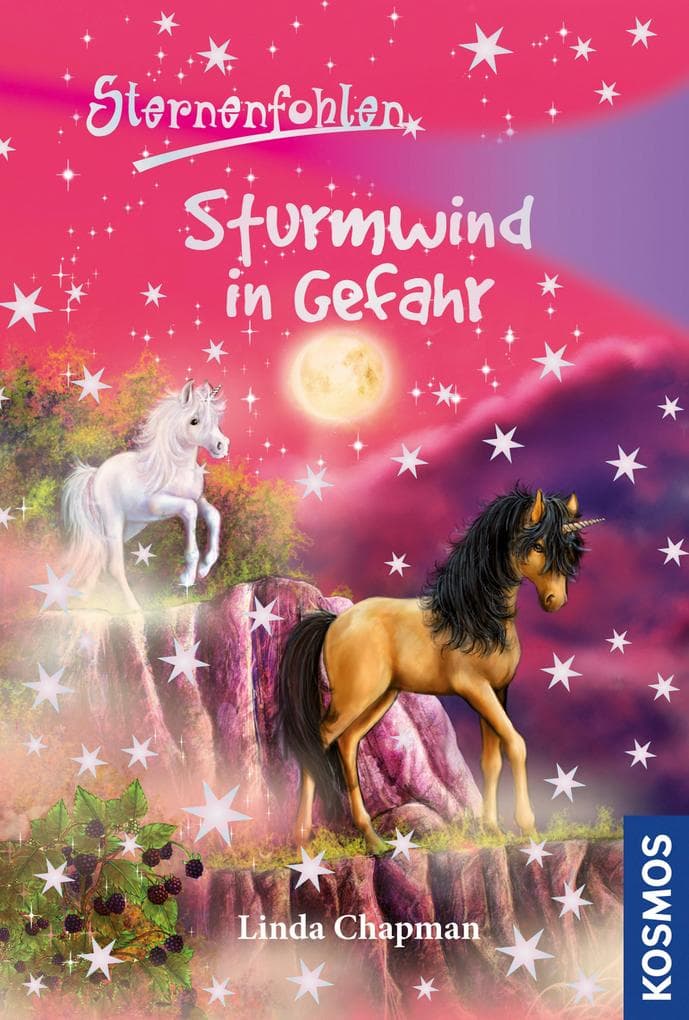 Sternenfohlen 15. Sturmwind in Gefahr