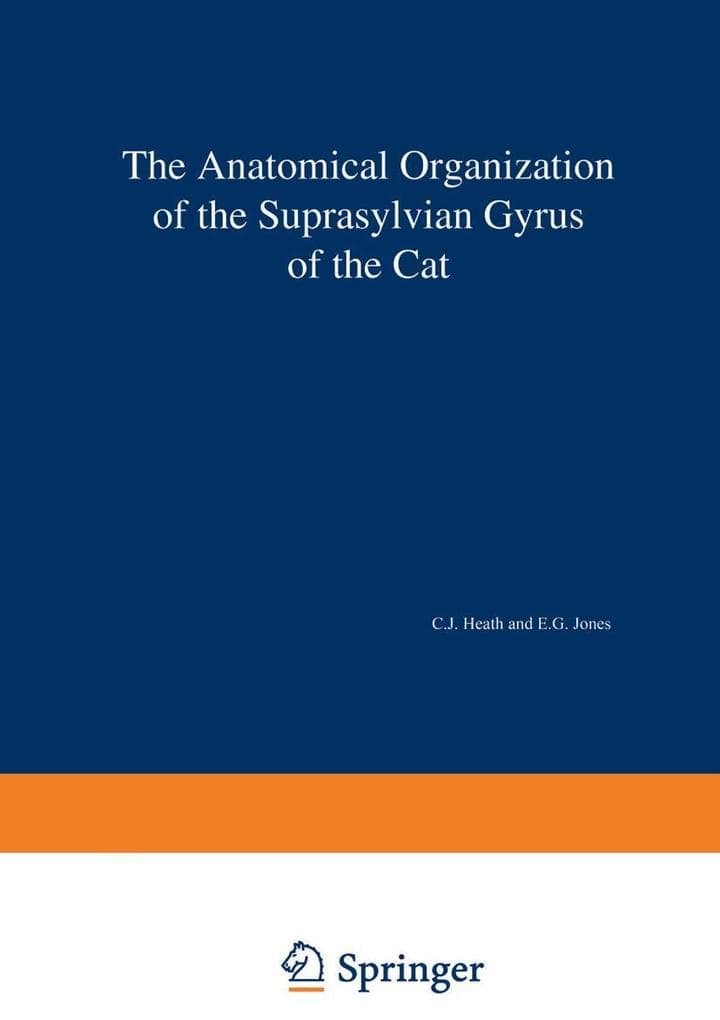 The Anatomical Organization of the Suprasylvian Gyrus of the Cat