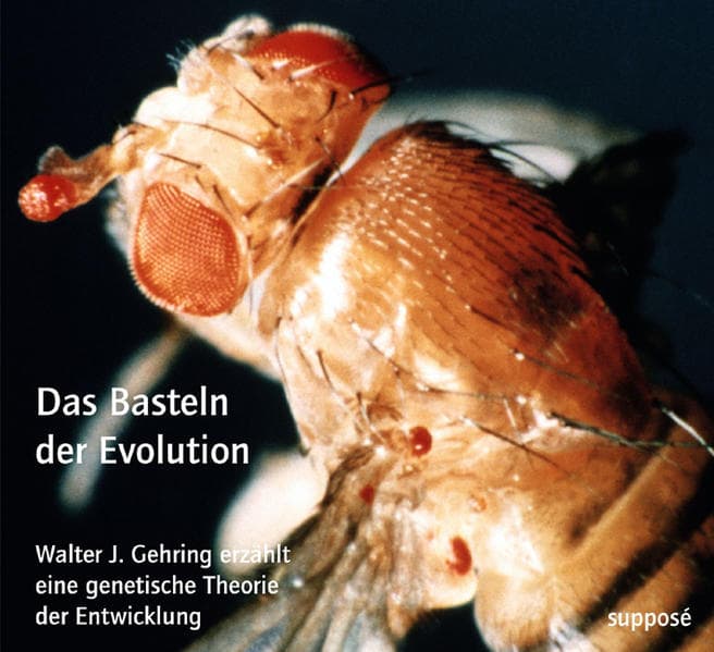 Das Basteln der Evolution, 2 Audio-CDs