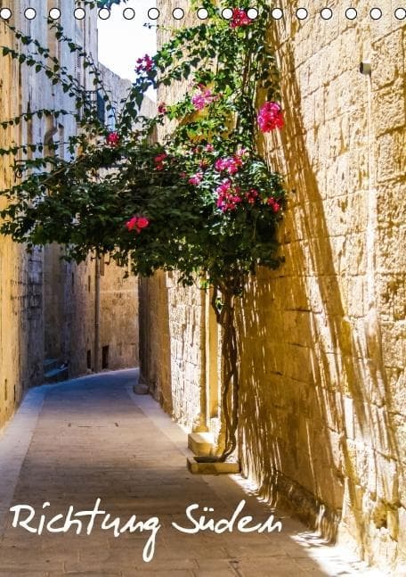 Richtung Süden / Geburtstagskalender (Tischkalender immerwährend DIN A5 hoch)