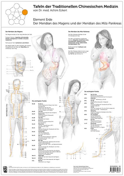Tao Training Meridiantafel Erde Element