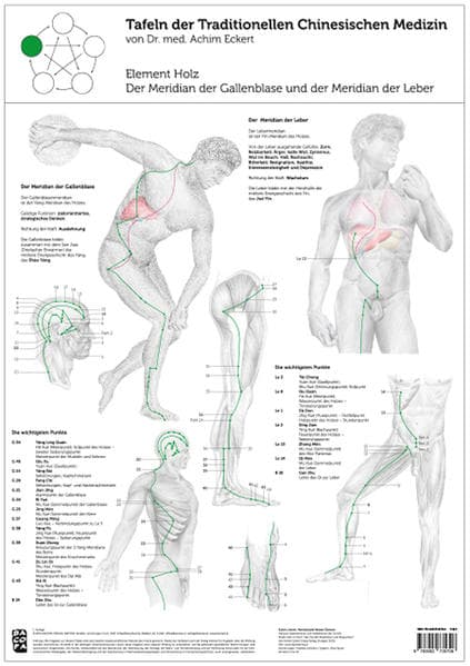 Tao Training Meridiantafel Holz Element