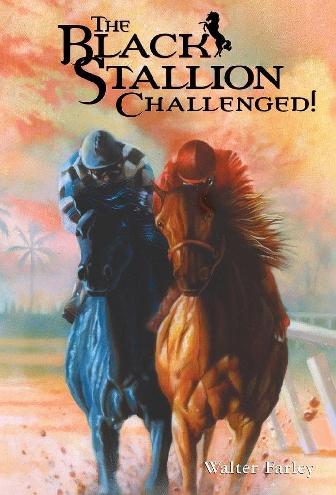 The Black Stallion Challenged