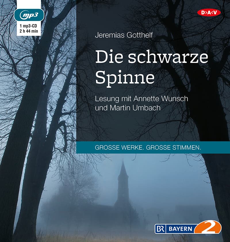 Die schwarze Spinne, 1 Audio-CD, 1 MP3