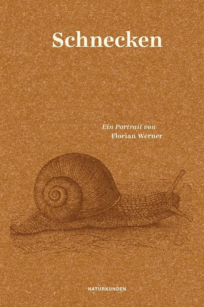 Schnecken