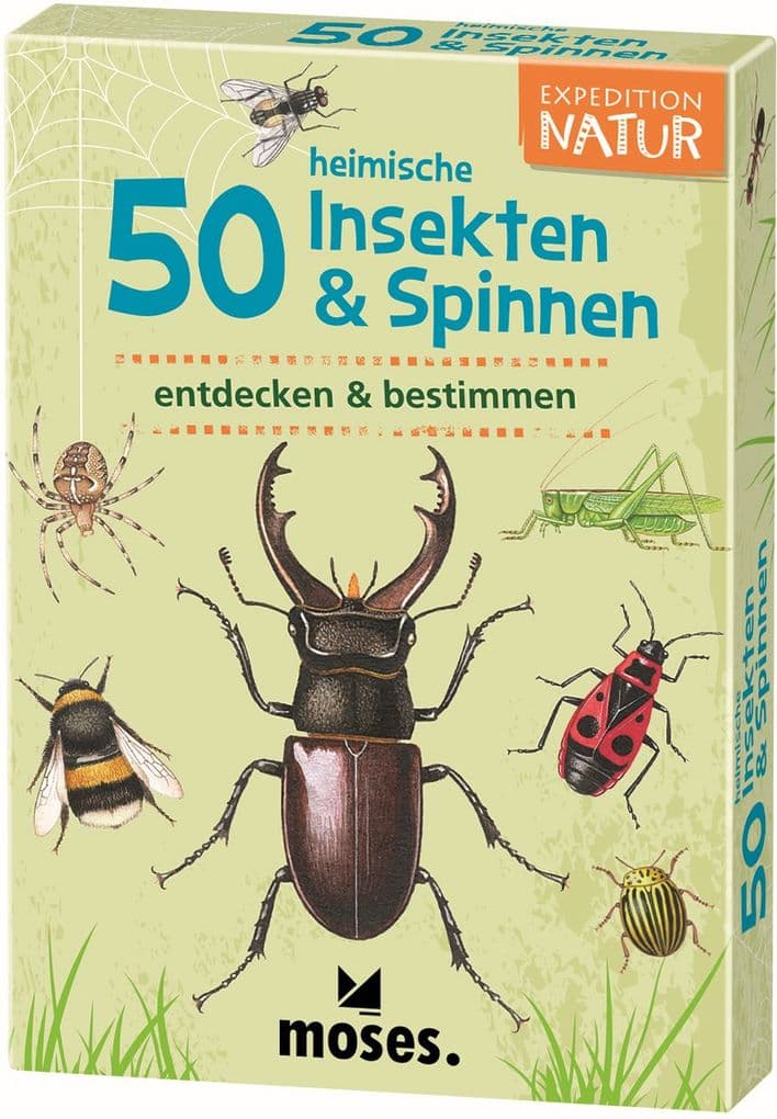 Expedition Natur: 50 heimische Insekten & Spinnen