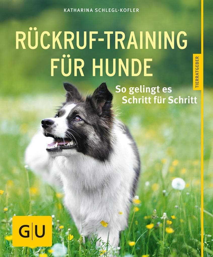 Rückruftraining für Hunde