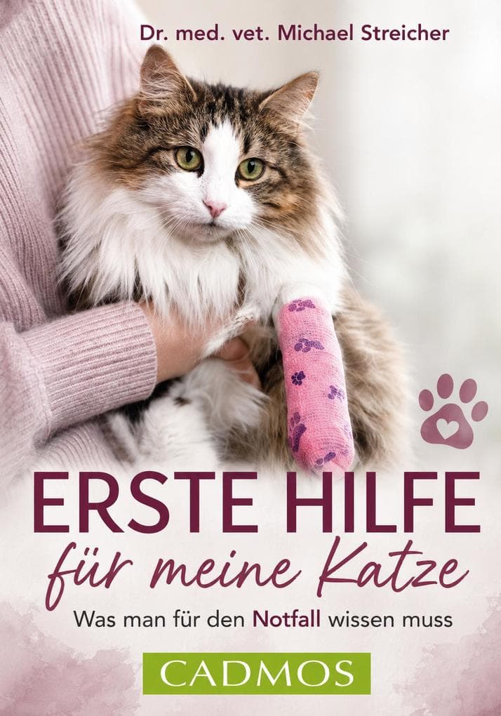 Erste Hilfe für meine Katze