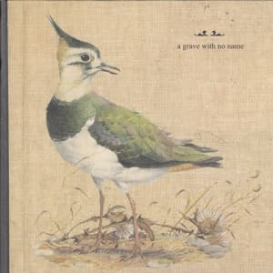 Feathers Wet,Under The Moon