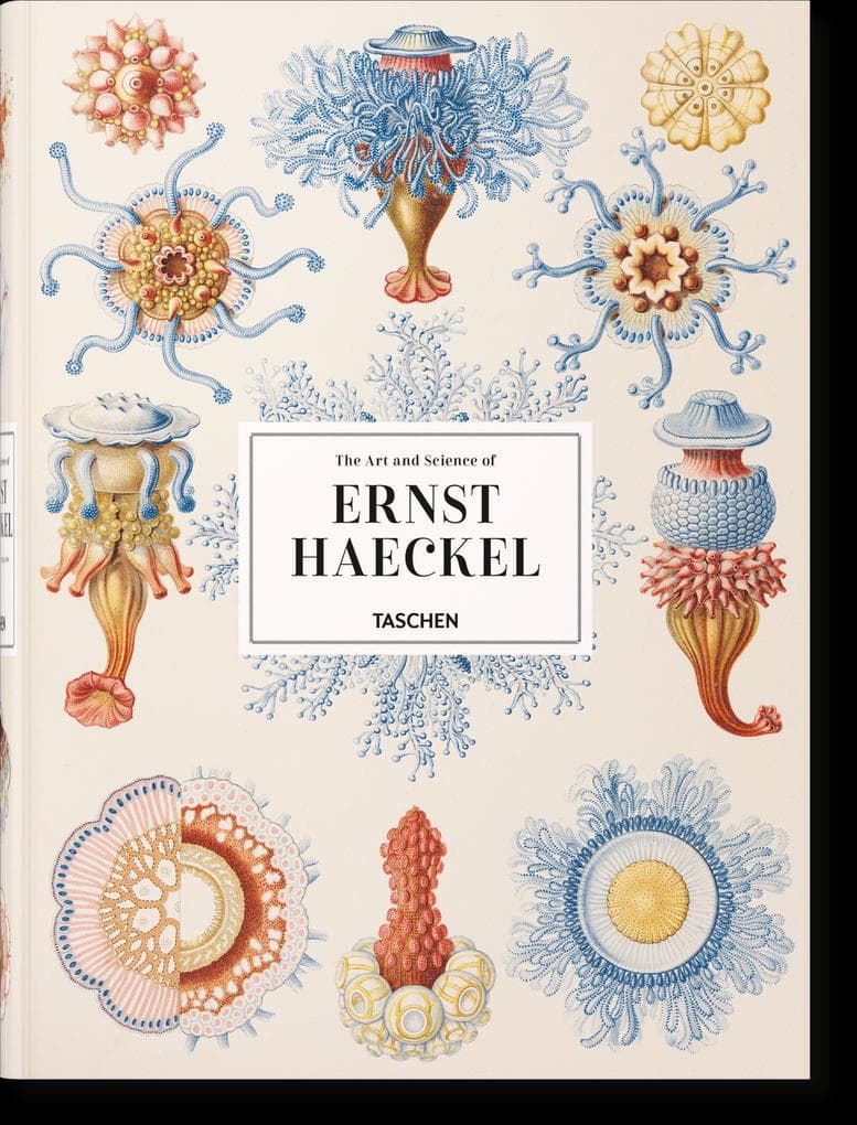 The Art and Science of Ernst Haeckel