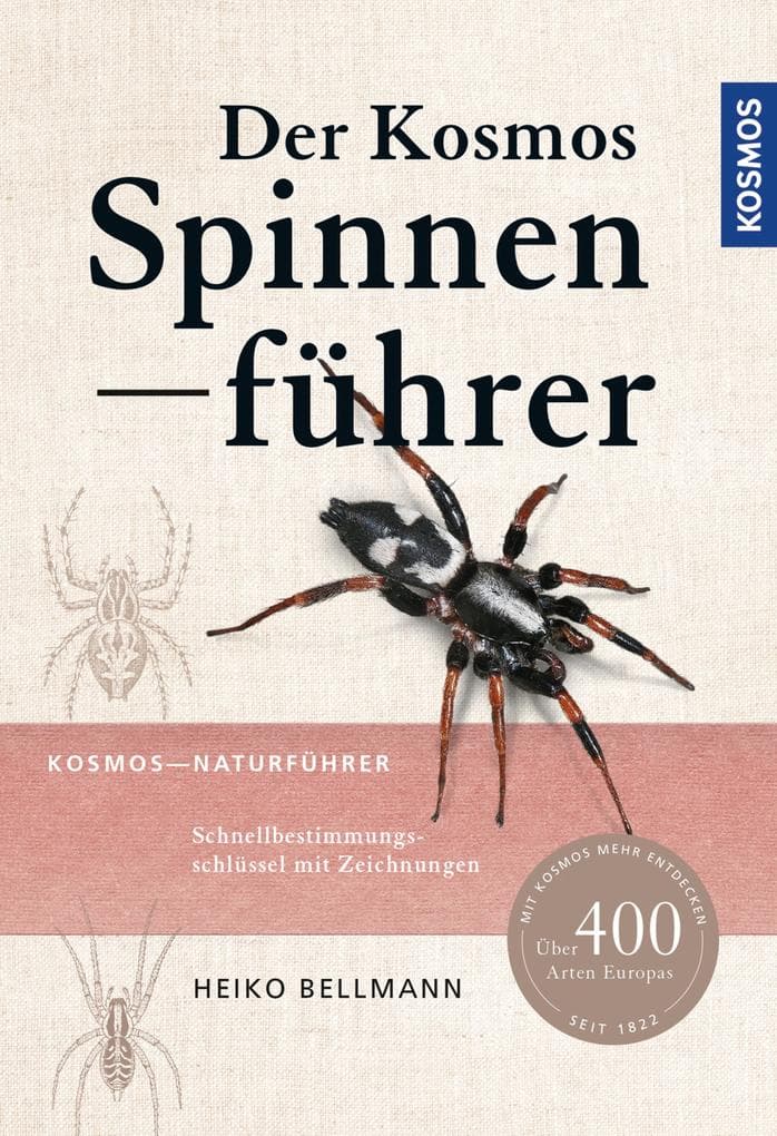 Der Kosmos Spinnenführer