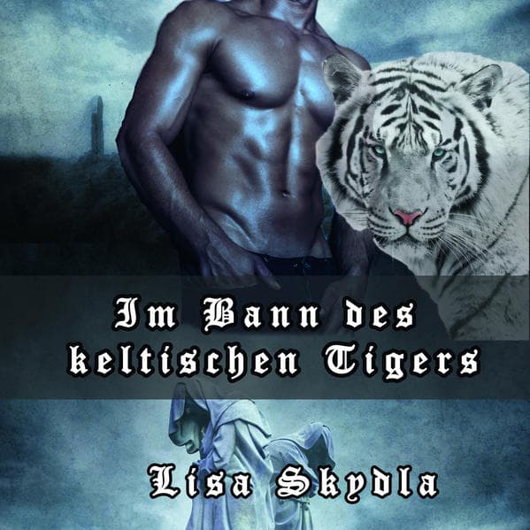 Im Bann des keltischen Tigers, 1 MP3-CD