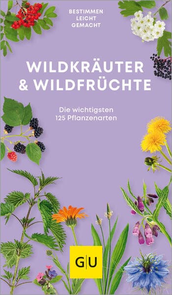 Wildkräuter. Wildfrüchte