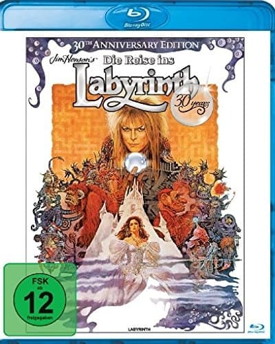 Die Reise ins Labyrinth