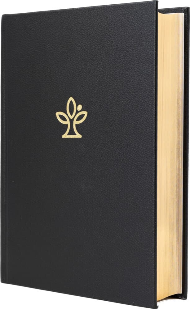 Die Bibel. Leder, Großdruck. Mit Familienchronik.