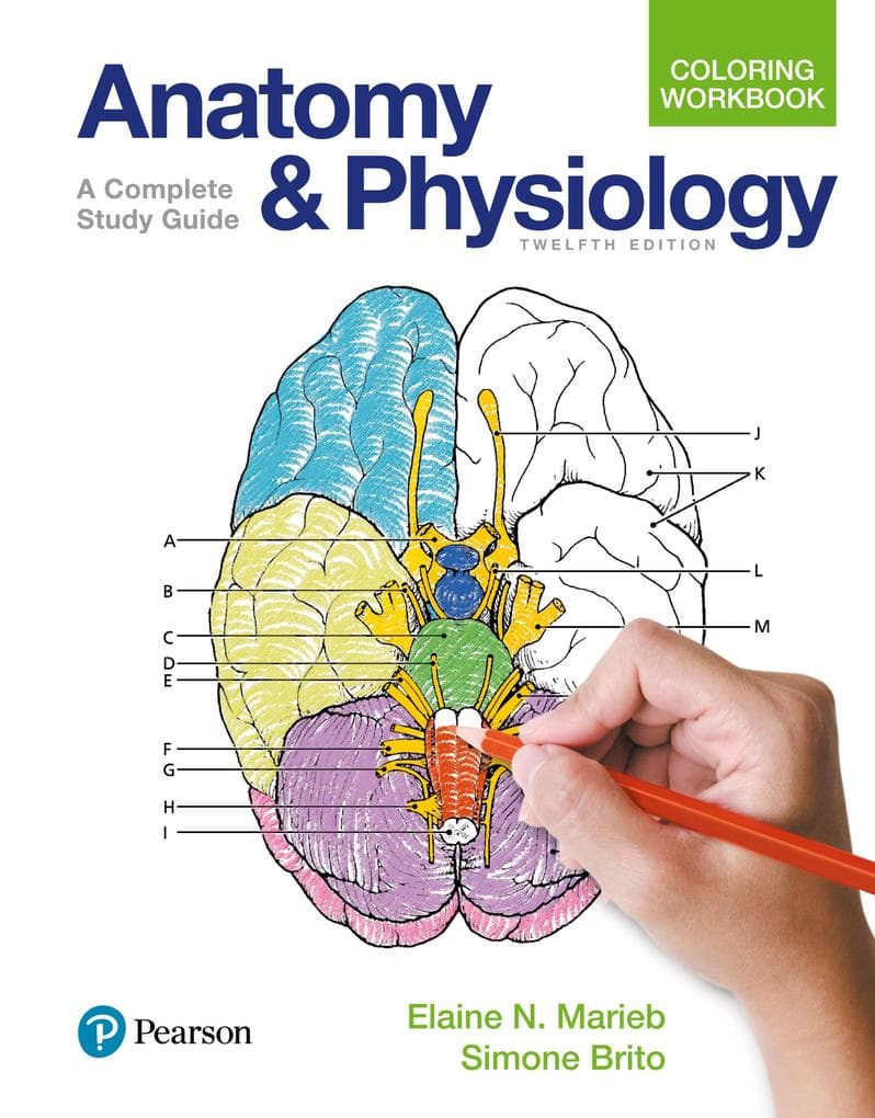 Anatomy and Physiology Coloring Workbook: A Complete Study Guide