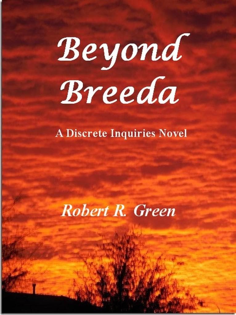 Beyond Breeda (A Discrete Inquiries Novel, #6)
