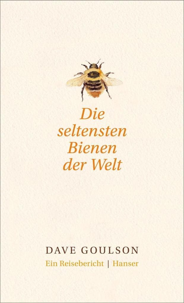 Die seltensten Bienen der Welt