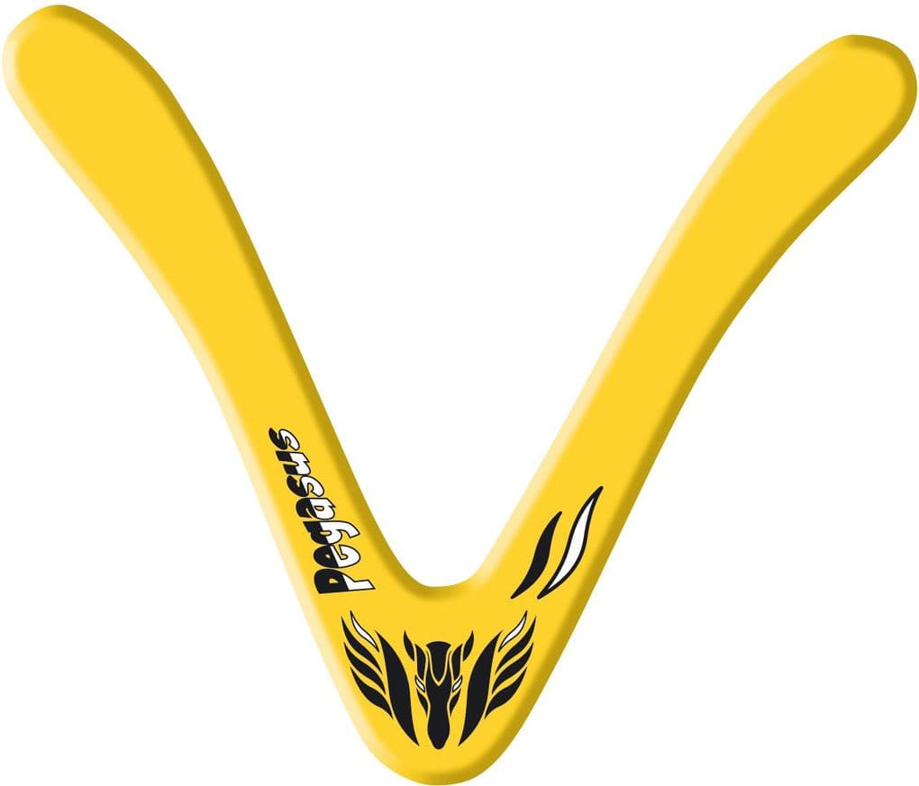 Günther Flugmodelle - Pegasus Boomerang