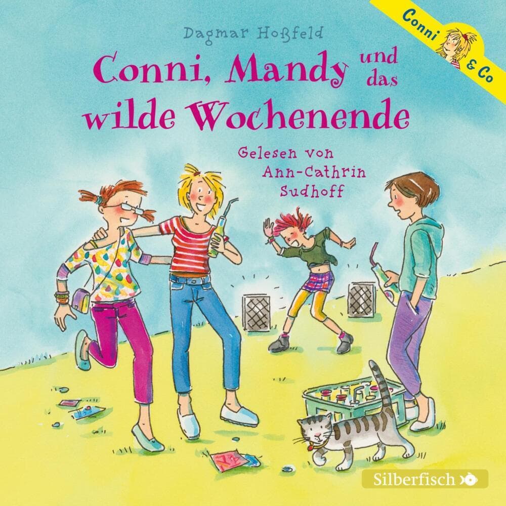 Conni, Mandy und das wilde Wochenende,2 Audio-CD