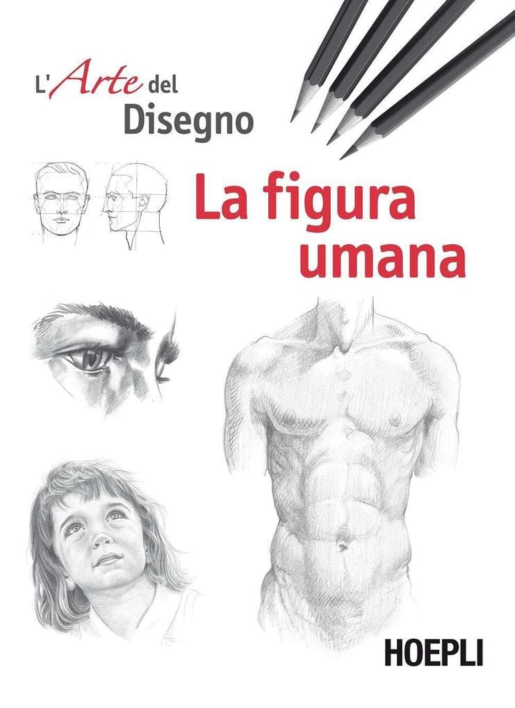 La figura umana. Esercizi. L'arte del disegno