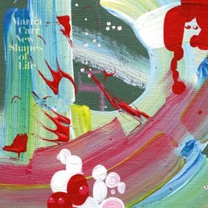 New Shapes Of Life (Vinyl+CD)