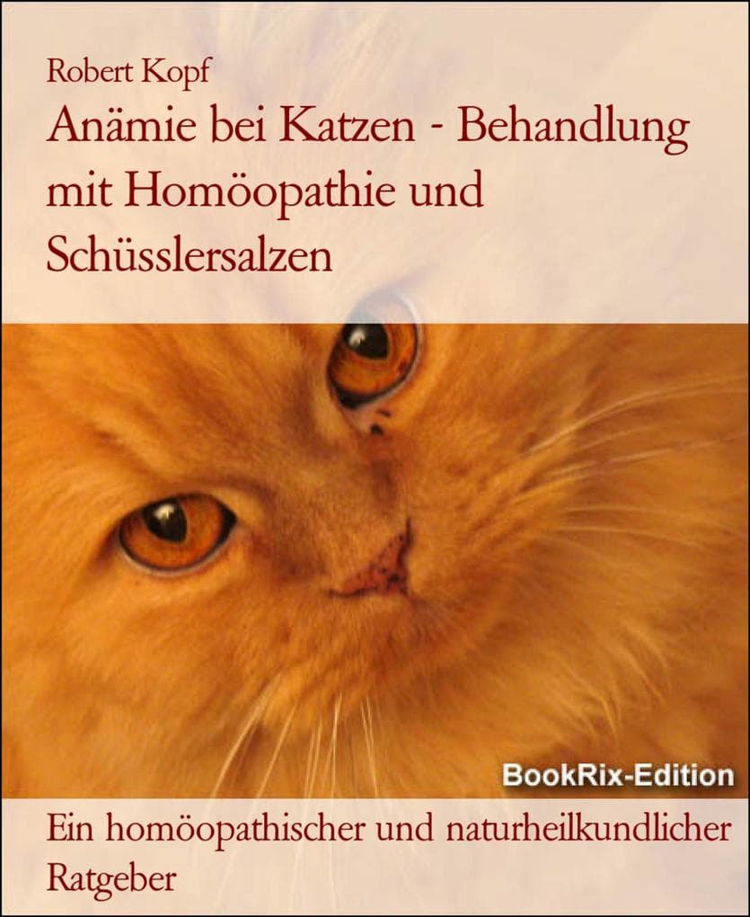 Anämie bei Katzen - Behandlung mit Homöopathie und Schüsslersalzen