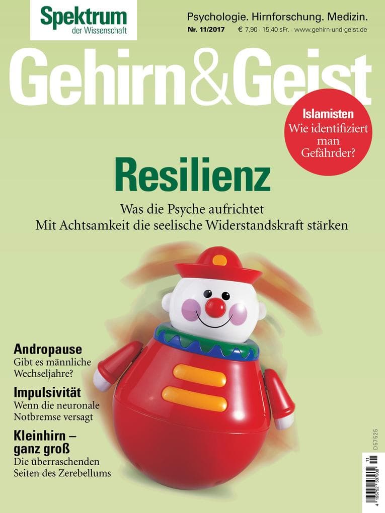 Gehirn&Geist 11/2017 - Resilienz