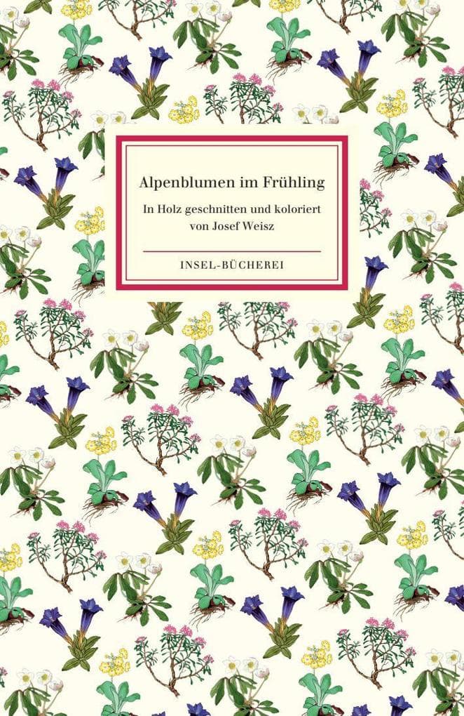 Alpenblumen im Frühling