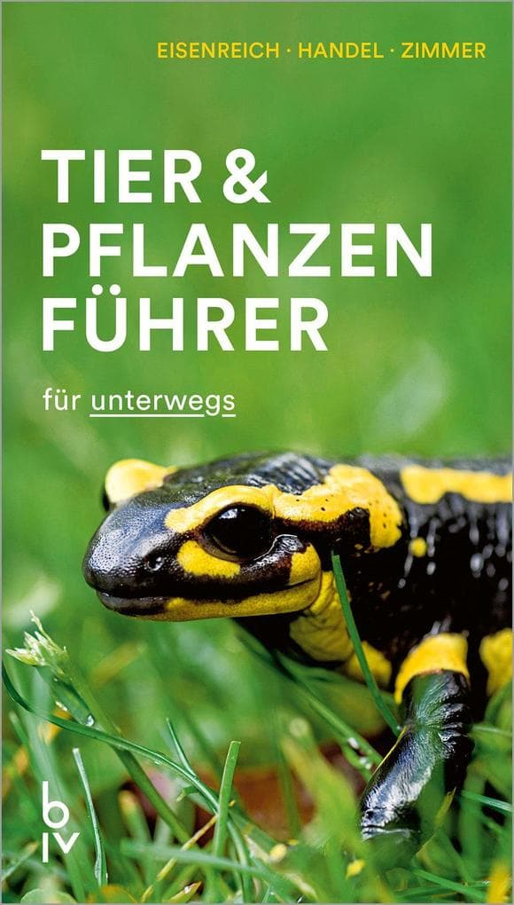 Der BLV Tier & Pflanzenführer