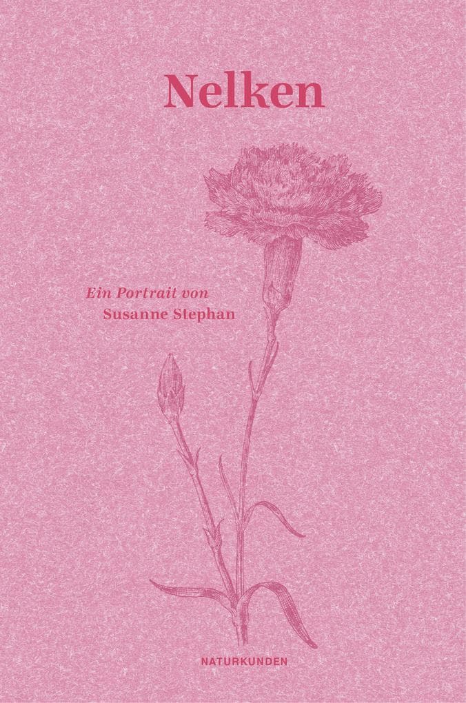 Nelken