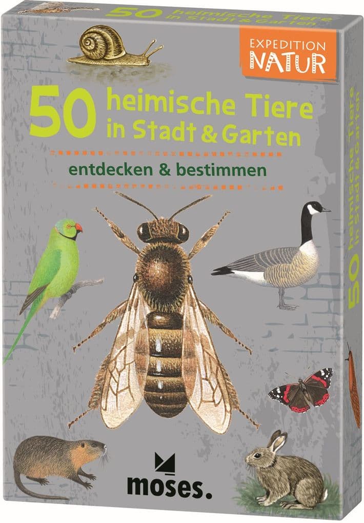 Expedition Natur. 50 heimische Tiere in Stadt & Garten