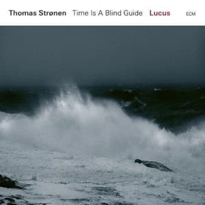 Lucas-Time Is A Blind Guide