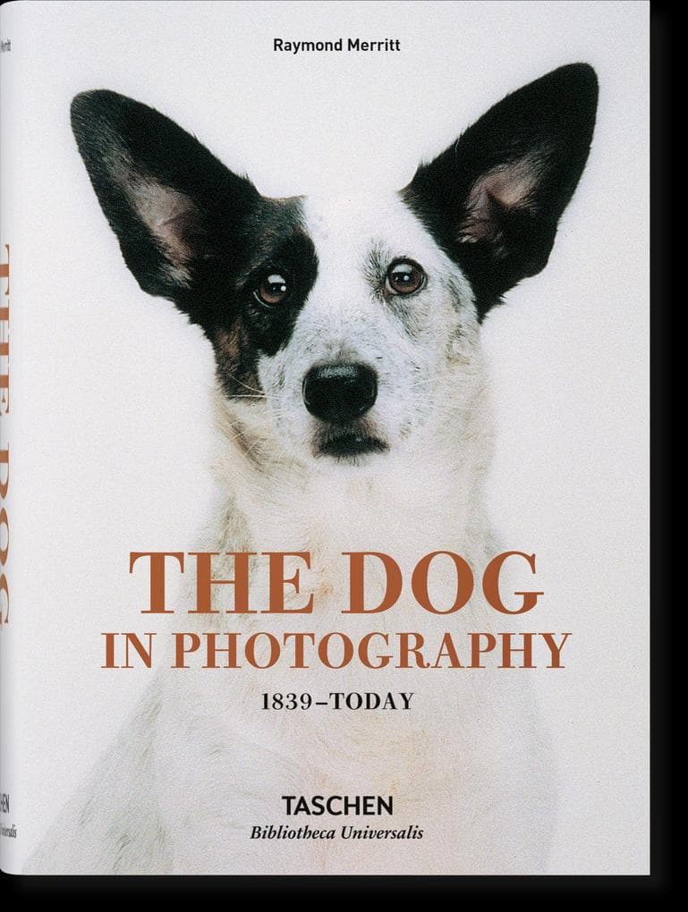 Bildband "The Dog in Photography 1839-Today"