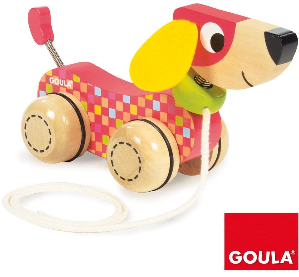 Goula - Nachzieh-Hund