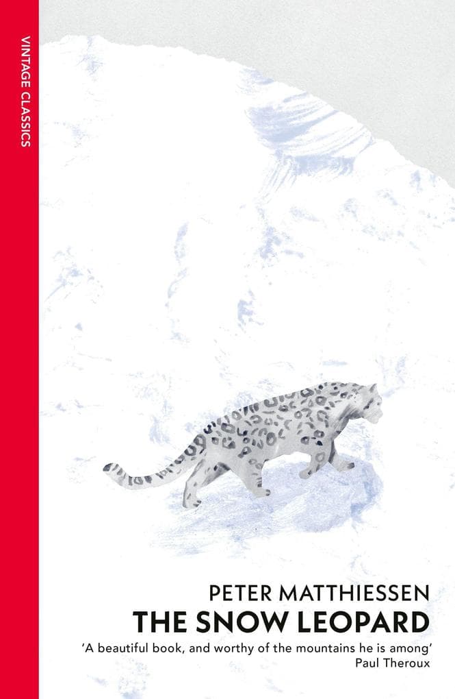 The Snow Leopard