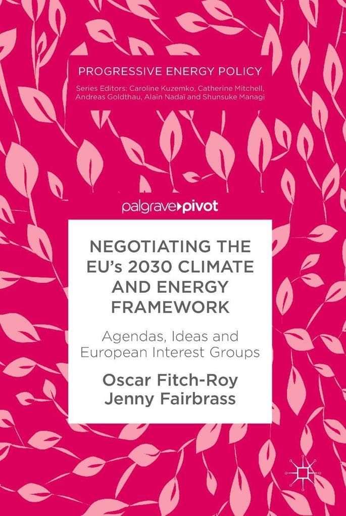 Negotiating the EU's 2030 Climate and Energy Framework