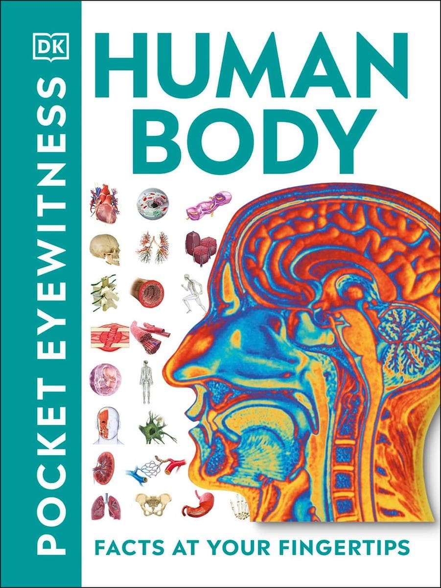 Pocket Eyewitness Human Body