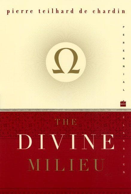 Divine Milieu, The