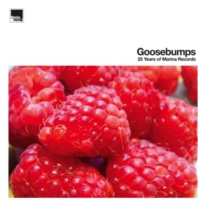 Goosebumps-25 Years Of Marina Records