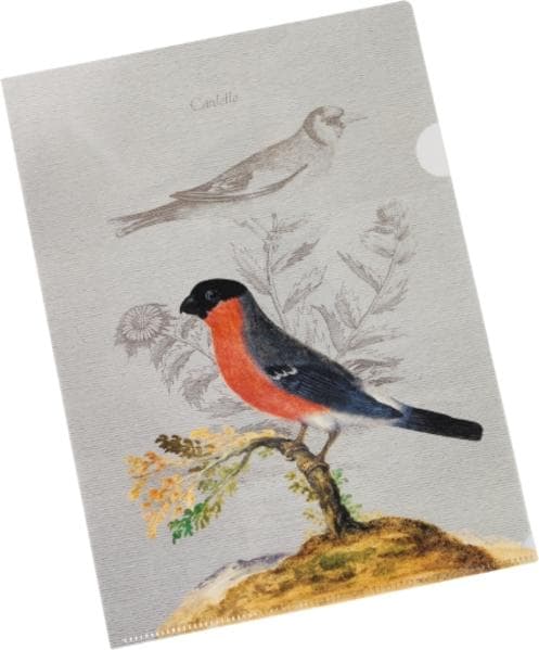 Pasta für Nachtigallen Bunte Sichthülle - Motiv Gimpel