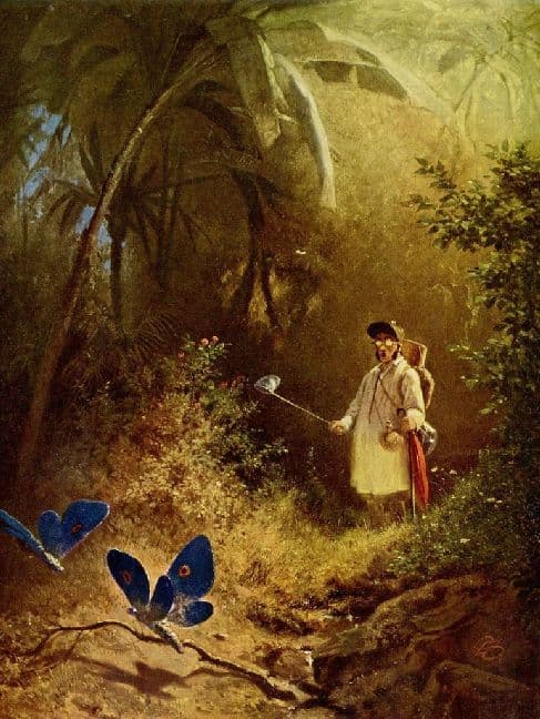 Carl Spitzweg - Der Schmetterlingsfänger - 500 Teile (Puzzle)