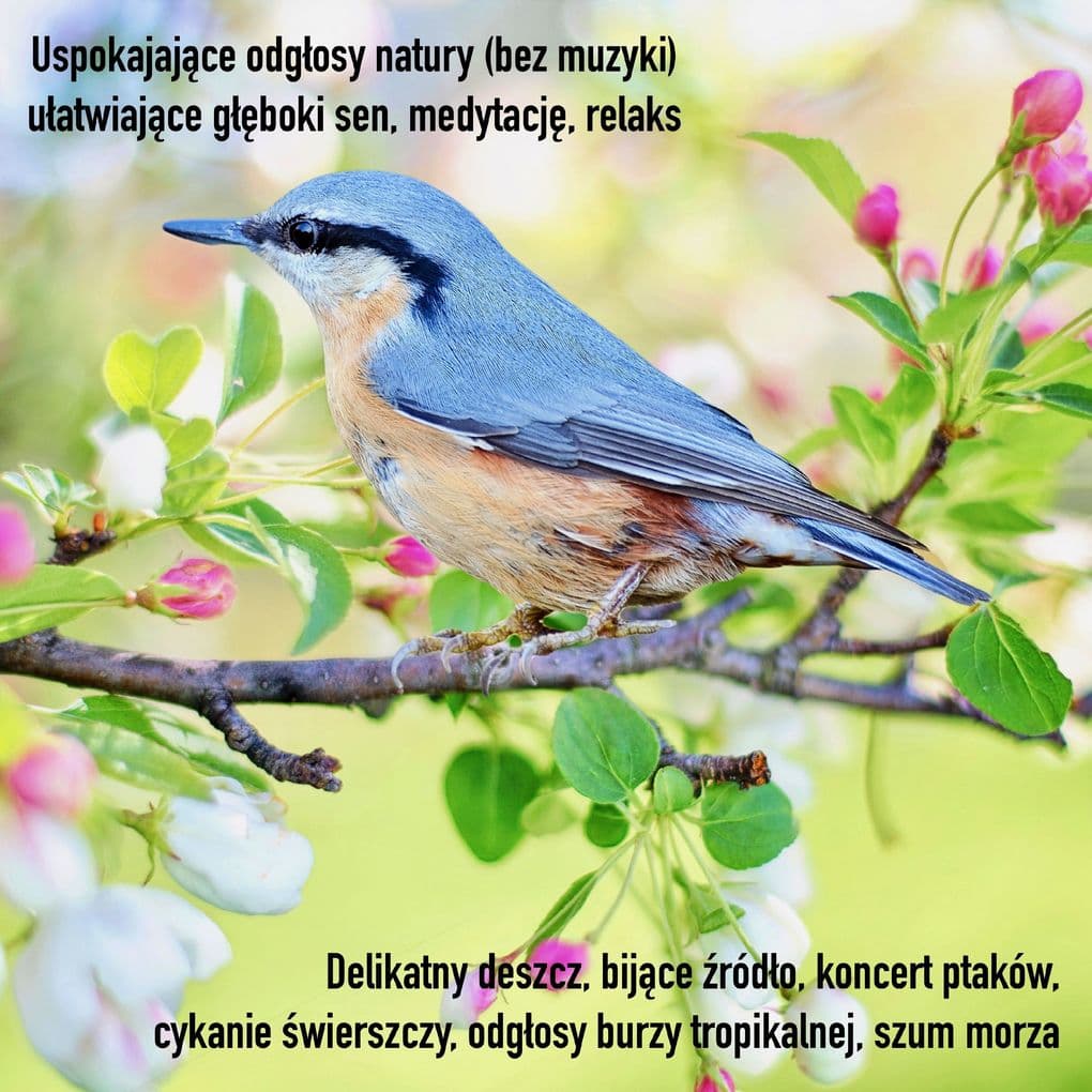 Uspokajajce odgosy natury (bez muzyki) uatwiajce gboki sen, medytacj, relaks